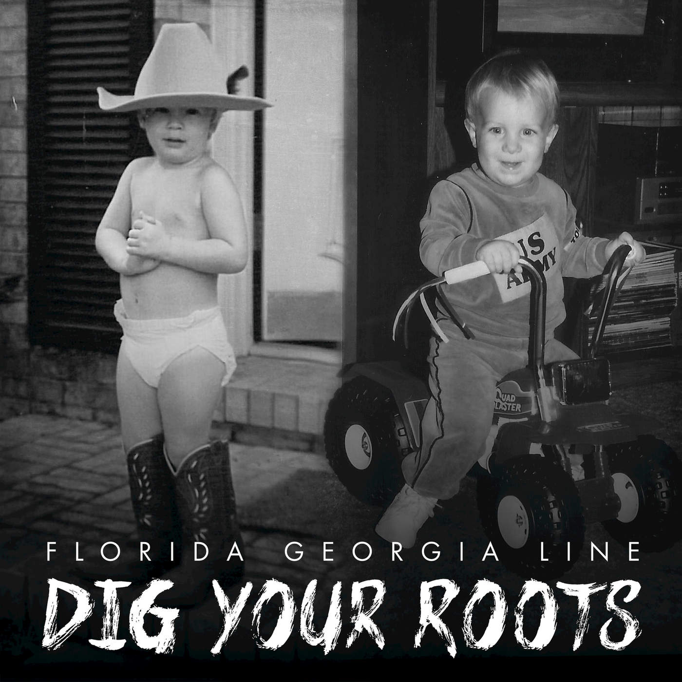 Dig Your Roots.jpg