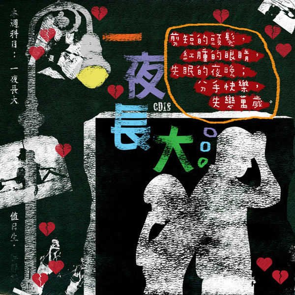 滚石三十青春音乐记事簿 一夜长大.jpg