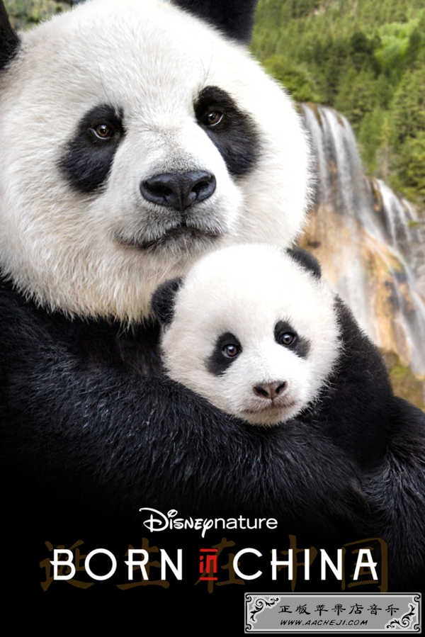 Disneynature_ Born In China.jpg